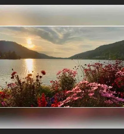 App.«diva» Design Au Coeur De Gerardmer/park Prive Gerardmer