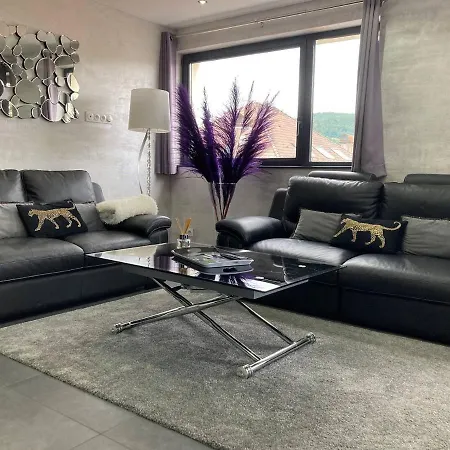 App.«diva» Design Au Coeur De Gerardmer/park Prive Apartment Gerardmer